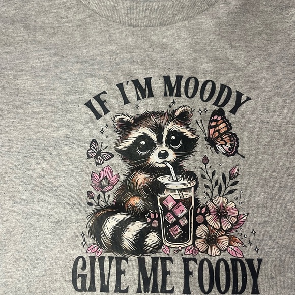 Gildan Gray Raccoon Graphic Tee - Picture 3 of 7